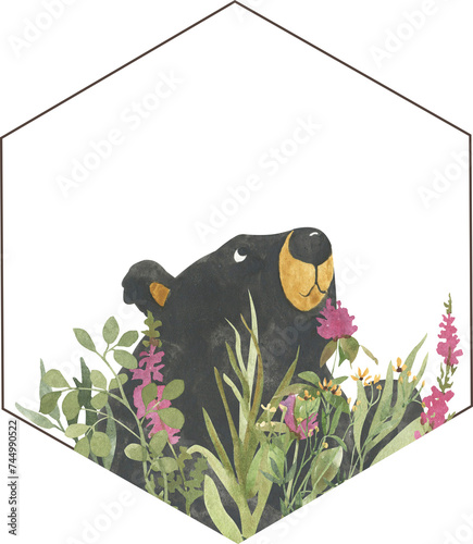 Simple watercolor drawing of a bear for logo, label