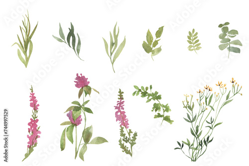 Watercolor wildflowers and leaves