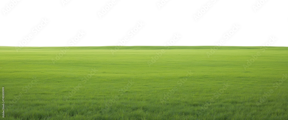 Natural view of grass hills on transparent background Natural view of grass hills on transparent background