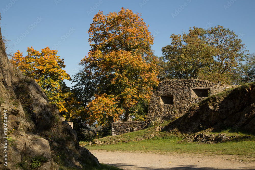 Burg Falkenstein im Harz Weinkeller