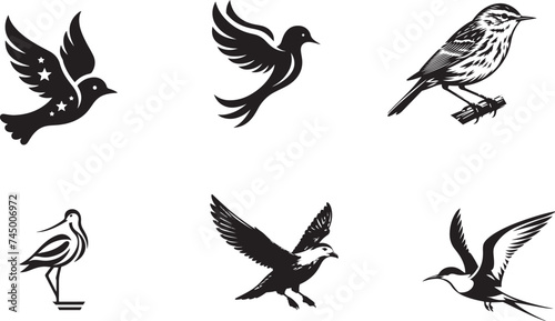 Bird silhouette vector illustration © CreativeDesigns