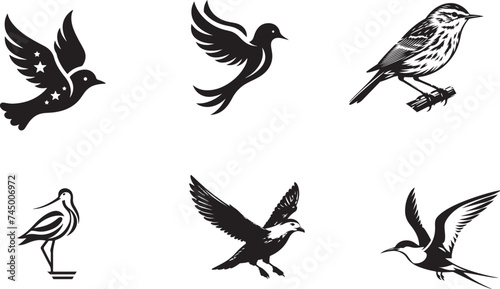 Bird silhouette vector illustration