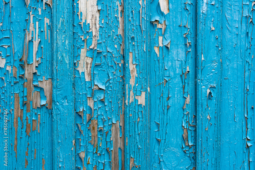 Different tree planks structure in fence and planks. Different tree planks structure in fence and planks.