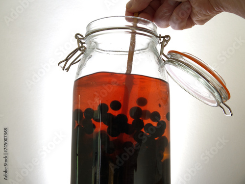 Closeup of fingers holding a chopstick to stir sloe fruit berries, soaking in gin alcohol spirit in a tall glass storage jar, to make homemade sloe gin liqueur.
