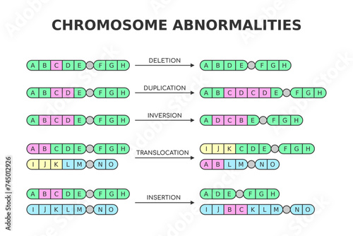 Chromosomal abnormalities. Deletion, duplication, inversion, translocation, insertion. Chromosome structure aberrations, mutations. Medical science diagram. Genetics and DNA. Vector illustration.