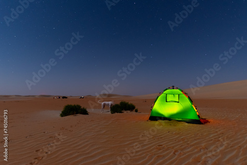 night Stars motion across night sky over the camping tent during off road in desert.