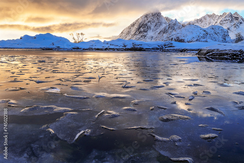 Frozen lake with thin broken ice floes on surface in backlit at the golden sunset time in Lofoten, Norway