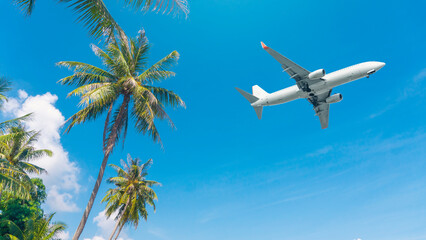 The Airplane over coconut trees, travel to summer vacation destination to relax on a beautiful tropical beach.	