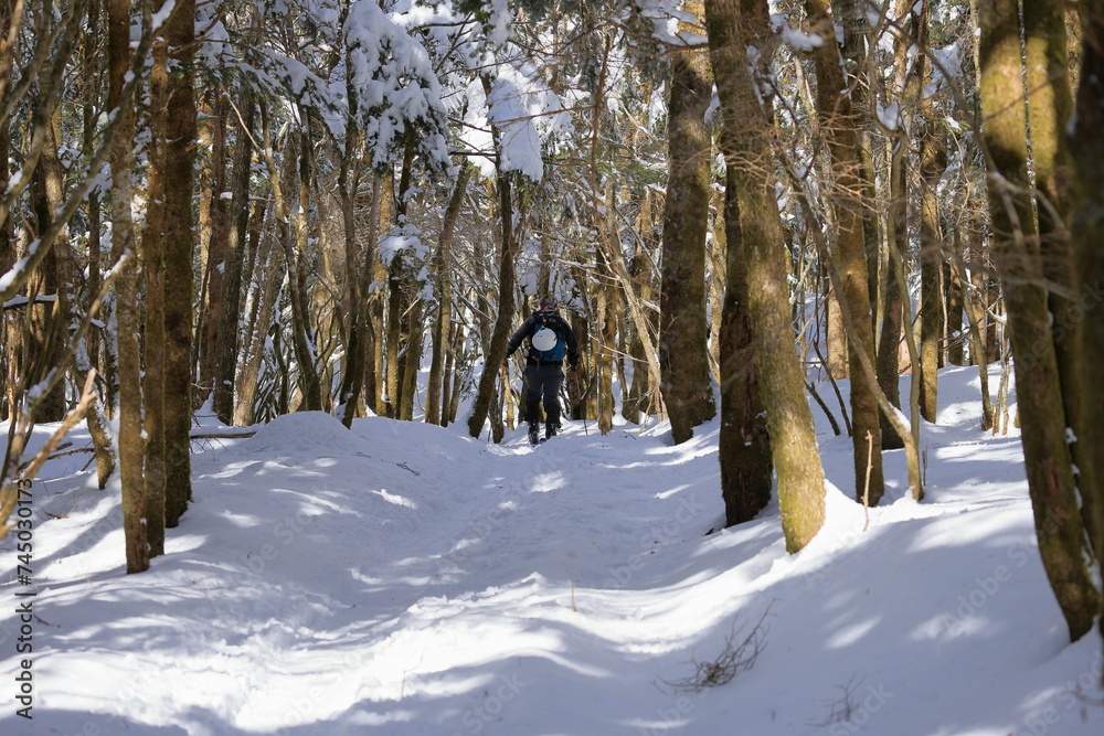 The trees of Mt. Fuji are covered with snow. The trees of Mt. Fuji are covered with snow.