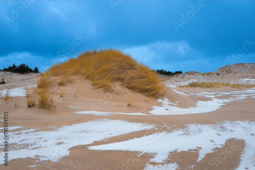 Beautiful dunesscenery of the Slowinski National Park by the Baltic Sea, Leba. Poland photo