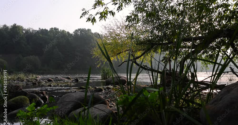 river, water with waves in the river withtrees on the river bank river, water with waves in the river withtrees on the river bank