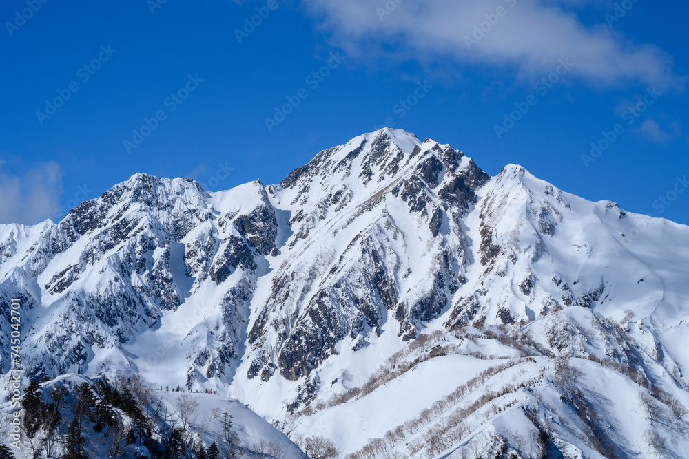 【北アルプス】冬の小遠見山から見る五竜岳