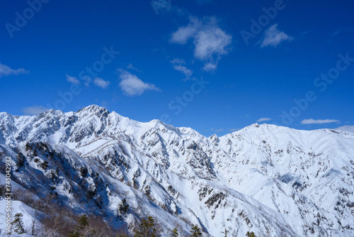 【北アルプス】冬の遠見尾根からの五竜岳の景色 © taroq