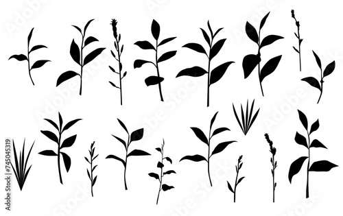Vector silhouettes of grass with leaves, bush branches with leaves, black color, isolated on a white background