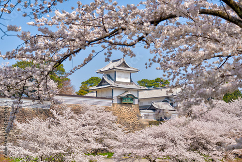 Plakat 金沢市を代表する観光スポット「春の金沢城」。桜のお花見シーズンがお勧め。写真は兼六園から撮影。