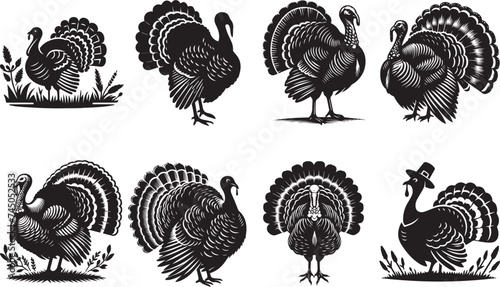 Turkey Poultry Silhouette, Wild turkey black silhouette vector illustration