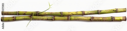 long bamboo stick isolated on white background