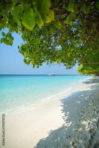 Fototapeta Naklejka Na Ścianę i Meble -  Experience the incomparable beauty of the Maldives! Relax on white sandy beaches, dive into crystal-clear seawater and explore the fascinating underwater world while snorkeling.
