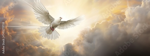 a white dove flying over the sun in a cloudy sky, in the religious style photo