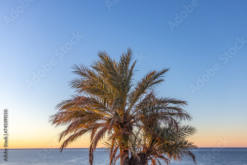 Benidorm  Spain -January 8 2024  Beautiful coast of south spain during the sunrise 