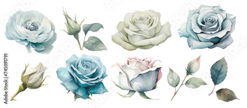 Set watercolor blue roses floral roses branches. Wedding concept a white background