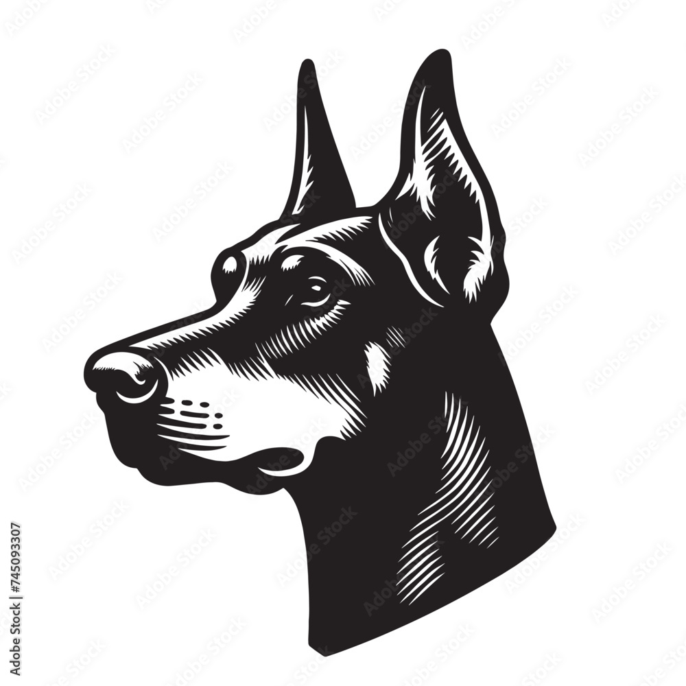 Doberman dog. Head, face, portrait. Vintage engraving illustration, logo, emblem, icon. Hand drawn woodcut