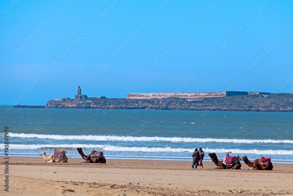 The Mogador Island along the coast of Essaouira The Mogador Island along the coast of Essaouira