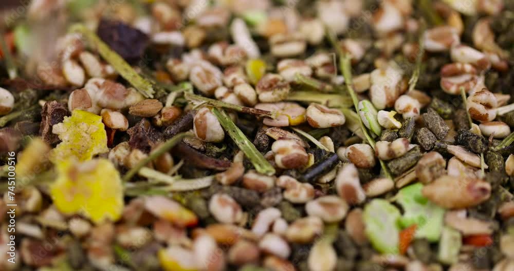 combined feed for rodents from hay, corn, cereals, vegetables, close-up of ingredients mixed for rodents combined feed for rodents from hay, corn, cereals, vegetables, close-up of ingredients mixed for rodents
