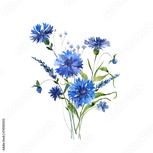 Blue cornflowers bouquet, Wildflowers watercolor illustration
