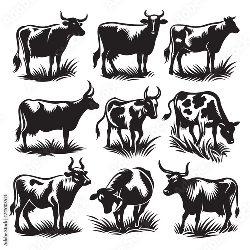 Set of cow silhouettes isolated on a white background, Vector illustration.