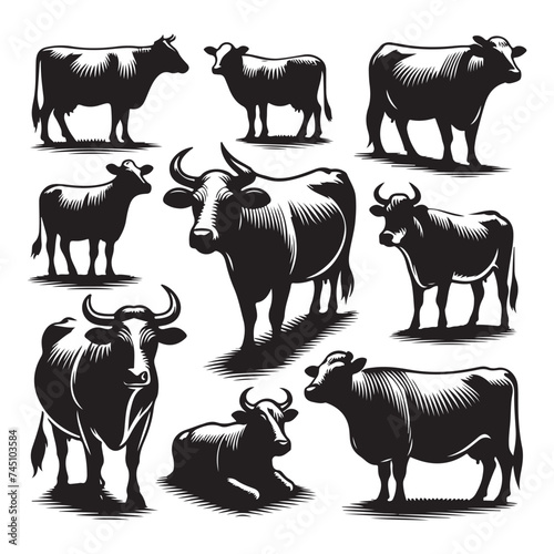 Set of cow silhouettes isolated on a white background, Vector illustration.