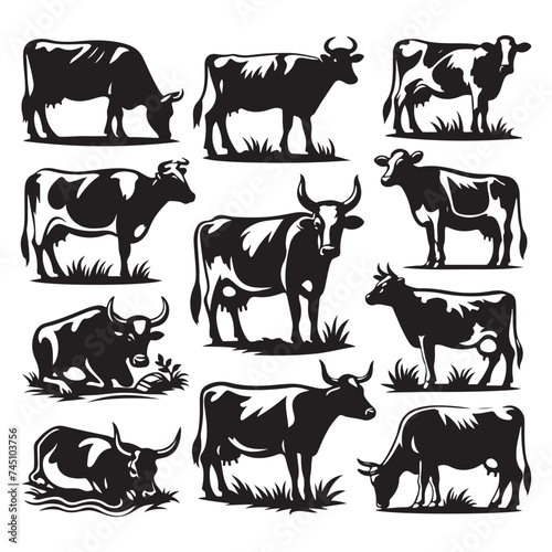 Set of cow silhouettes isolated on a white background  Vector illustration.