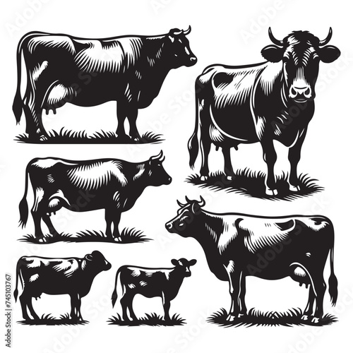 Set of cow silhouettes isolated on a white background  Vector illustration.