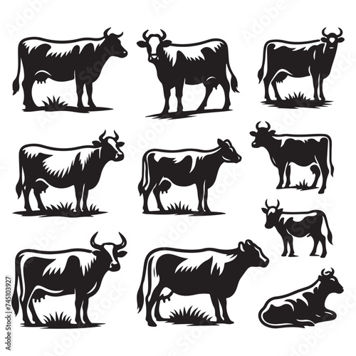 Set of cow silhouettes isolated on a white background, Vector illustration.