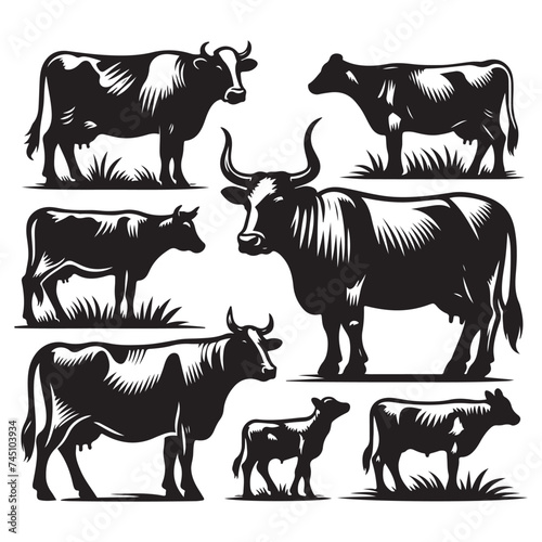 Set of cow silhouettes isolated on a white background, Vector illustration.