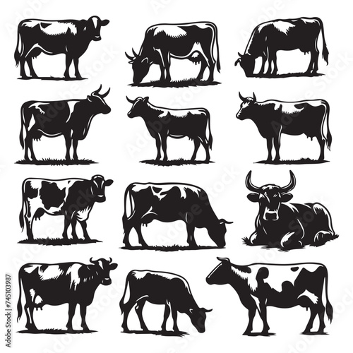 Set of cow silhouettes isolated on a white background, Vector illustration.