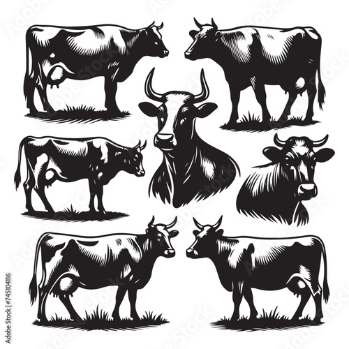 Set of cow silhouettes isolated on a white background, Vector illustration.