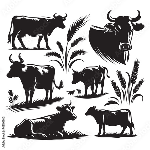 Set of cow silhouettes isolated on a white background, Vector illustration.
