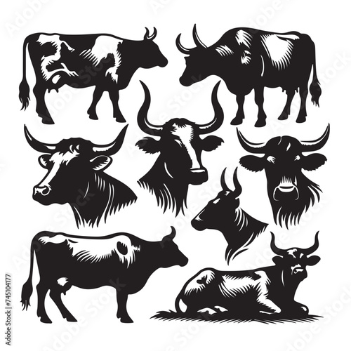 Set of cow silhouettes isolated on a white background, Vector illustration.