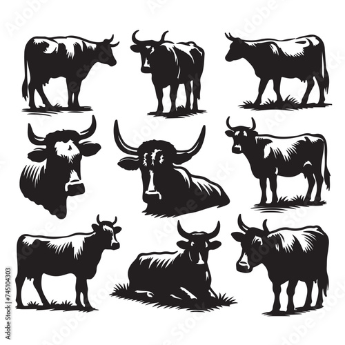 Set of cow silhouettes isolated on a white background, Vector illustration.