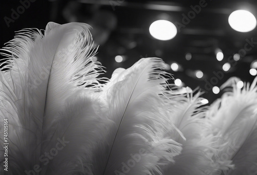 Ostrich feathers in spotlight Roaring 1920s style Black monochrome banner photo