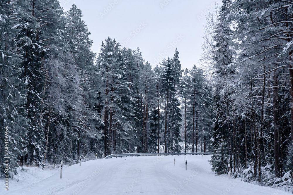 Fototapeta premium turning right through snow-covered pines