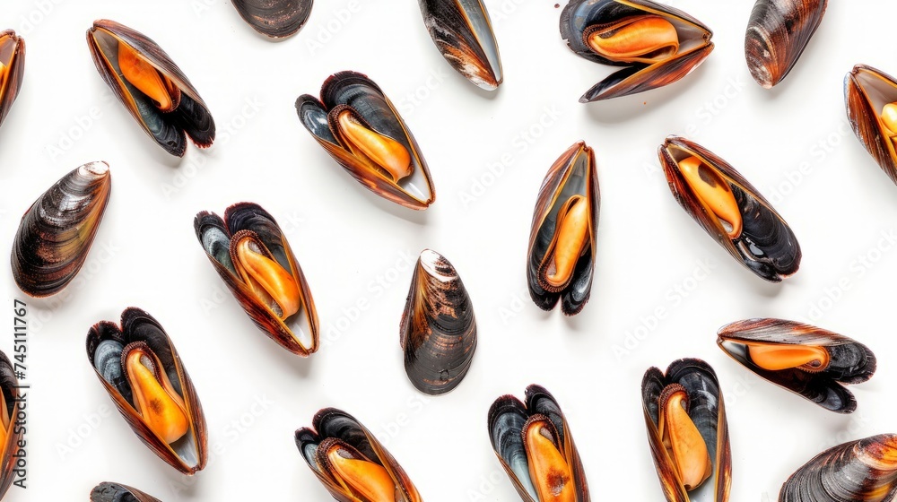Top view of raw mussels isolated on white background Top view of raw mussels isolated on white background