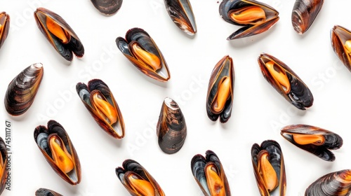 Top view of raw mussels isolated on white background