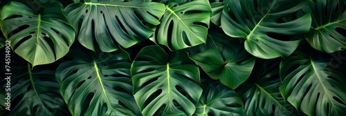 Bold Pattern of Giant Monstera Leaves Tile Generative AI