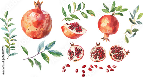 Pomegranate fruit set whole and half and green leaves. Watercolor hand drawn vector illustration isolated on white background