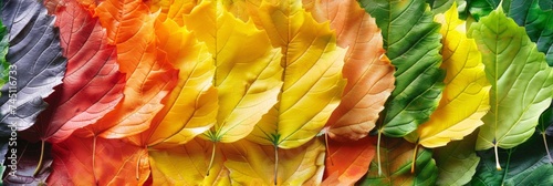 Autumn Leaves Transformation in the Breeze Generative AI