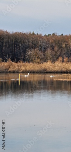 Jarohněvický pond is not just a simple fish breeding facility, but an interesting tourist destination with a rich history. Here, nature lovers can indulge in the observation of countless species