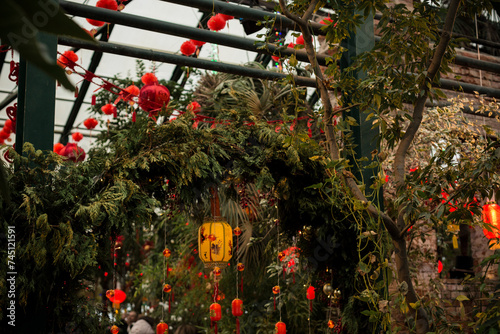 Chinese lanterns in the garden