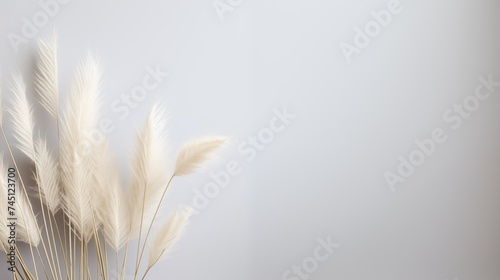 background with decorative panicles of cortadelia in pastel colors